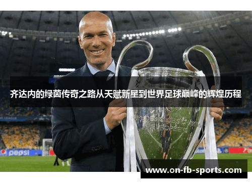 齐达内的绿茵传奇之路从天赋新星到世界足球巅峰的辉煌历程